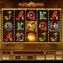 Harry Casino - Book of Dead Slot Game - Expanding Symbols